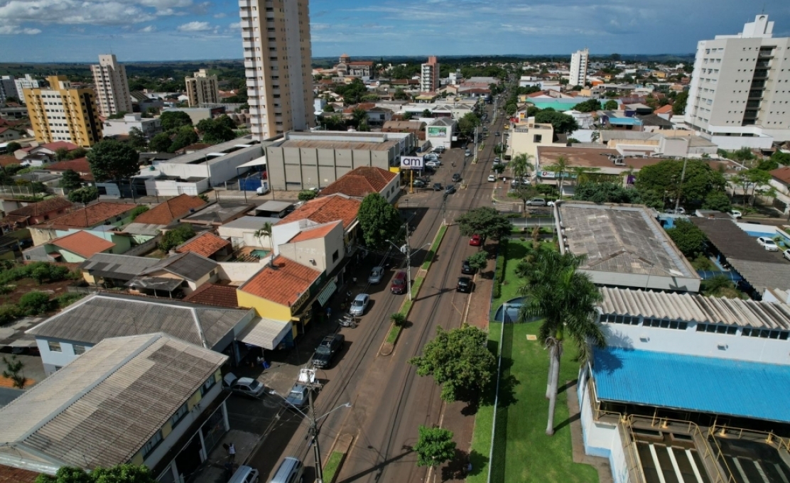 Plantio de 146 novas árvores, já previsto em projeto, faz parte da ação de revitalização das avenidas Paraná e Santos Dumont