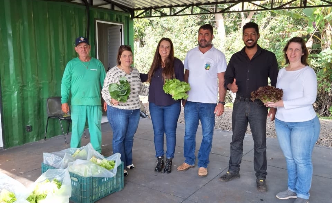 Ibiporã distribui hortaliças da Horta Urbana a entidades do Conselho Municipal de Segurança Alimentar e Nutricional 