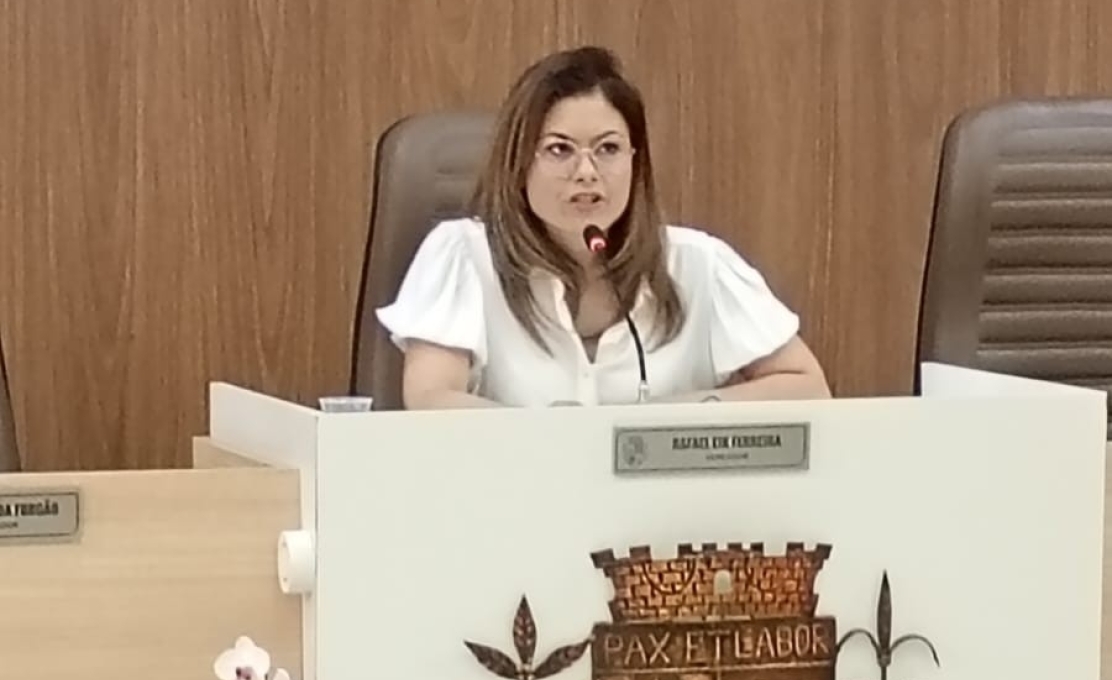 Ibiprev promove audiência pública na Câmara Municipal; saiba como foi