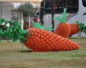 050829decf186be47584e7d6d32c76a8.jpg