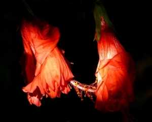 d0cf55e278607121a5bfe83dd543e761.jpg