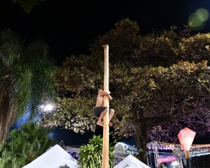 pau-de-sebo.jpg