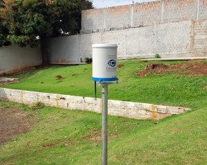 plu02.jpg