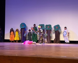 surdo4.jpg