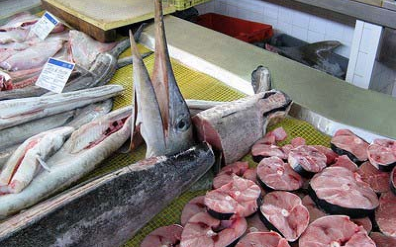 Consumo de peixe