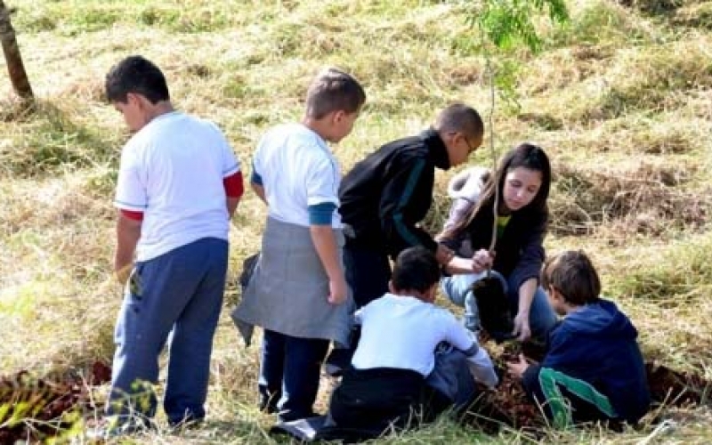 Terça (5) é o Dia Mundial do Meio Ambiente