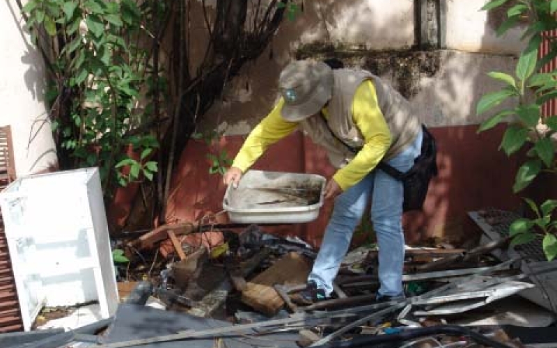 LIRAa aponta baixo risco de infestação da Dengue em Ibiporã