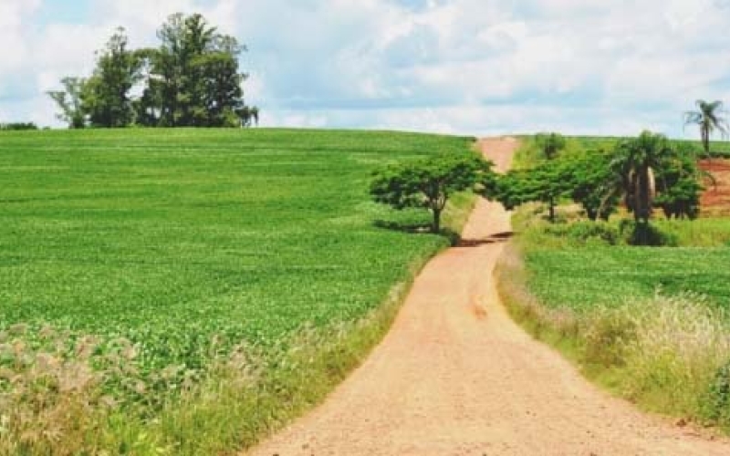 Avanços para a agricultura em Ibiporã