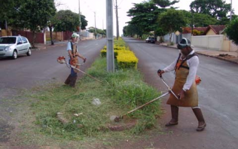 Proprietários têm que fazer roçagem dos seus terrenos