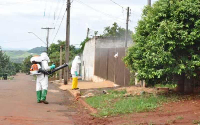 Cai o número de casos notificados de dengue em Ibiporã