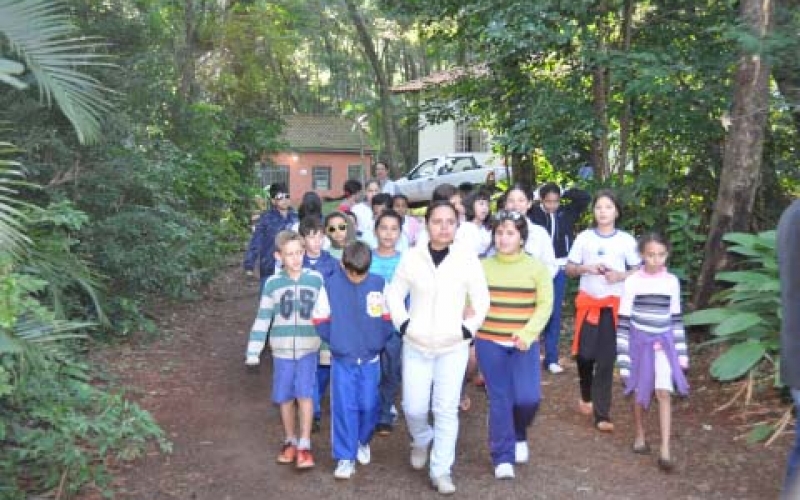 Caminhada e lançamento de programa marcaram Dia do Meio Ambiente