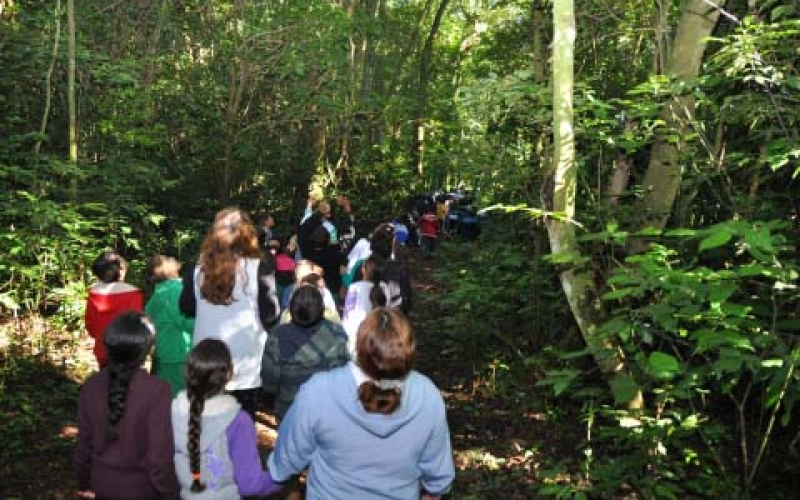 Ibiporã prepara programação especial para Semana do Meio Ambiente