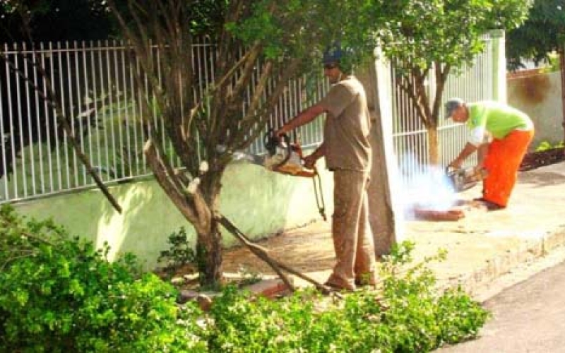 Avanço do 'greening' põe pomares do Paraná em alerta