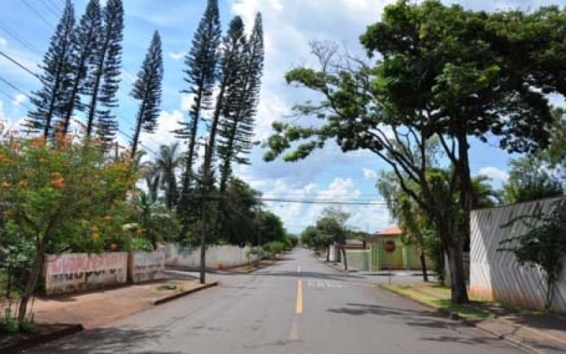 Por medida de segurança, pinheiros do Colégio Bilac são cortados