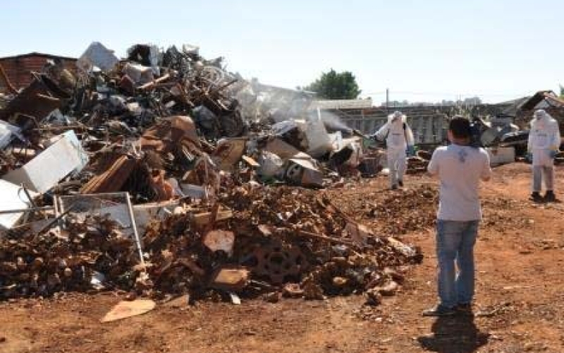 Dia 'D' contra a dengue é neste sábado em Ibiporã