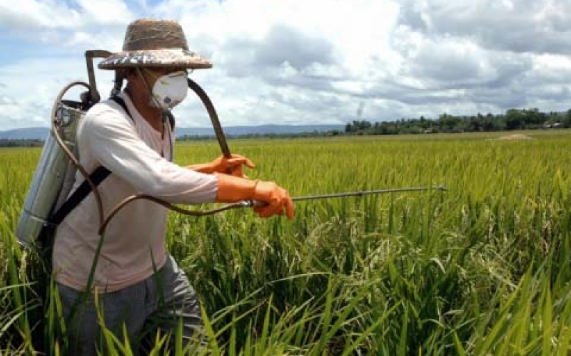 Reunião discute uso indiscriminado de agrotóxicos