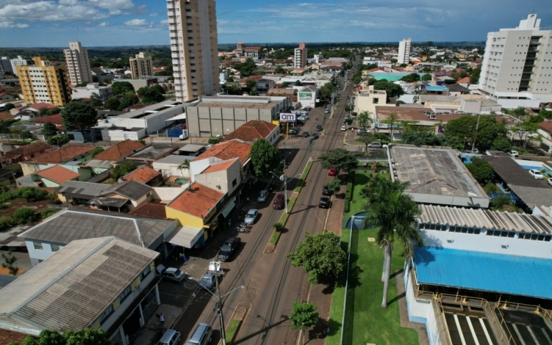 Plantio de 146 novas árvores, já previsto em projeto, faz parte da ação de revitalização das avenidas Paraná e Santos Dumont