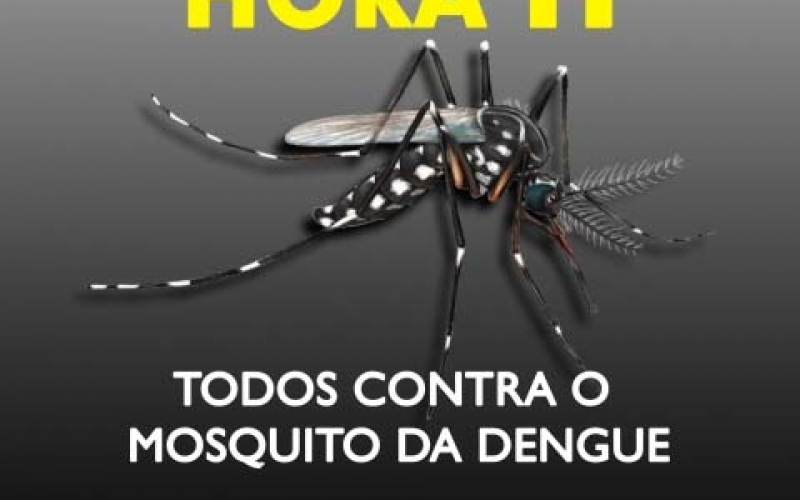 Ibiporã participa da “Hora H” contra a dengue