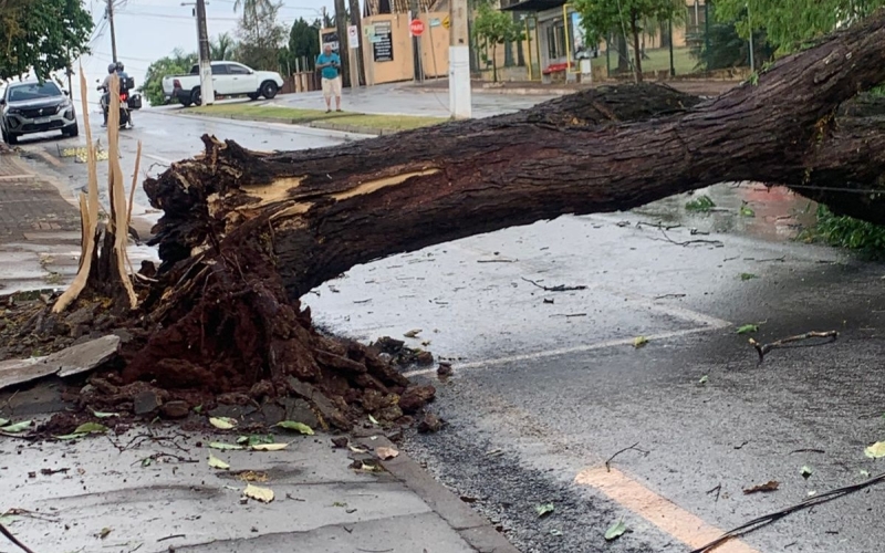 Prefeitura de Ibiporã atua em ocorrências após mau tempo