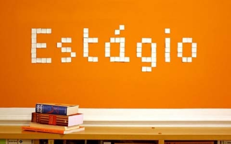 Secretaria de Assistência Social seleciona estagiários