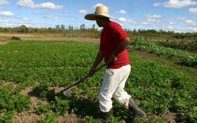 Prefeitura promove amanhã (25) o Dia do Agricultor