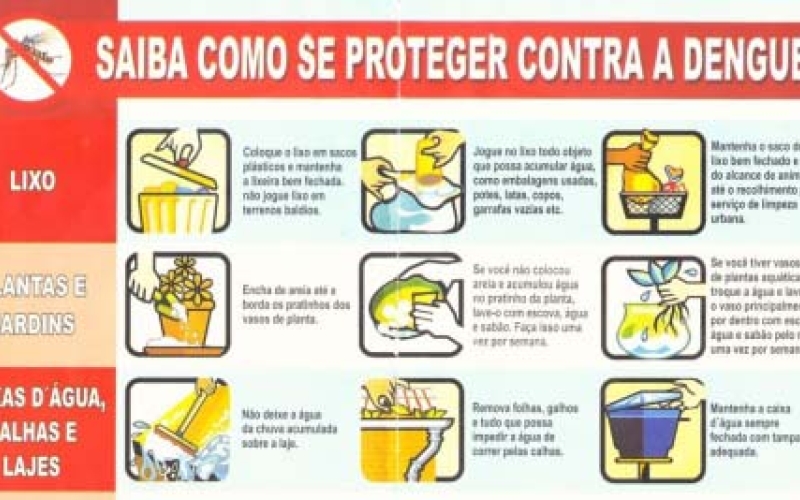 Ano Novo sem dengue