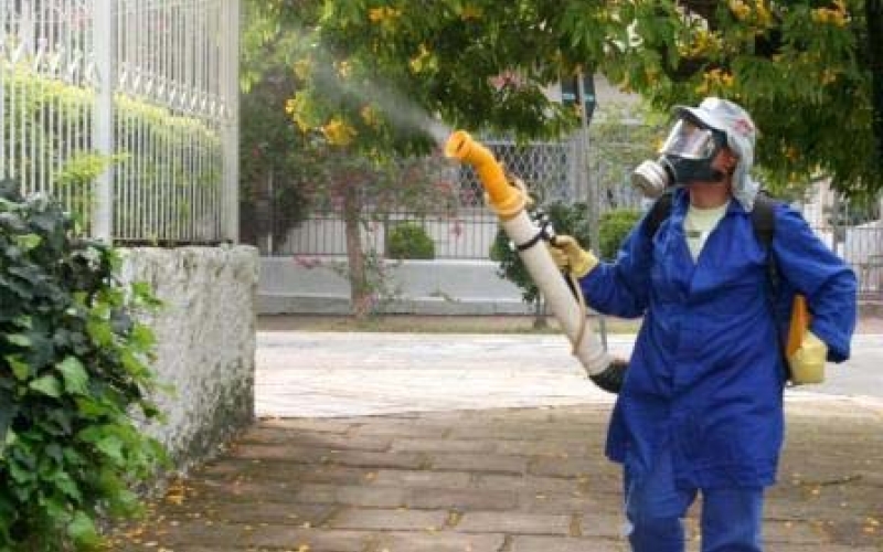 Dengue coloca a toda a região em alerta