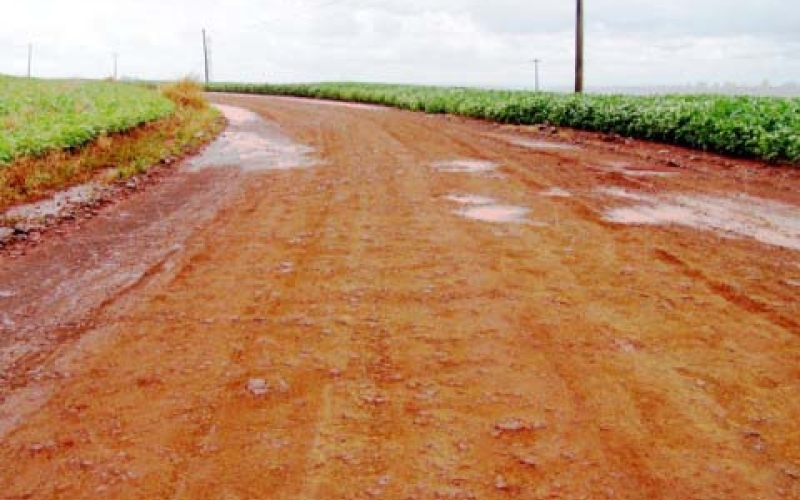 Estrada dos Pioneiros dividirá tráfego da BR-369