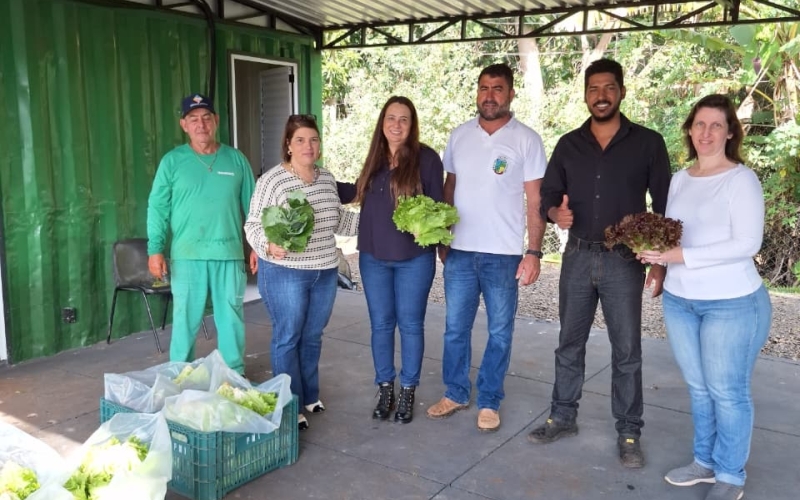Ibiporã distribui hortaliças da Horta Urbana a entidades do Conselho Municipal de Segurança Alimentar e Nutricional 
