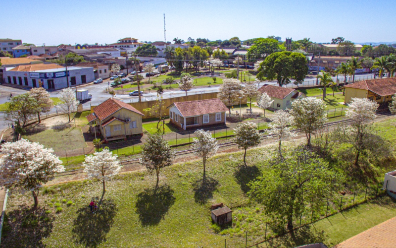 Um aceno do inverno à primavera! Como feitos a pincel, ipês embelezam Ibiporã com verdadeiros cenários e arrancam suspiros 