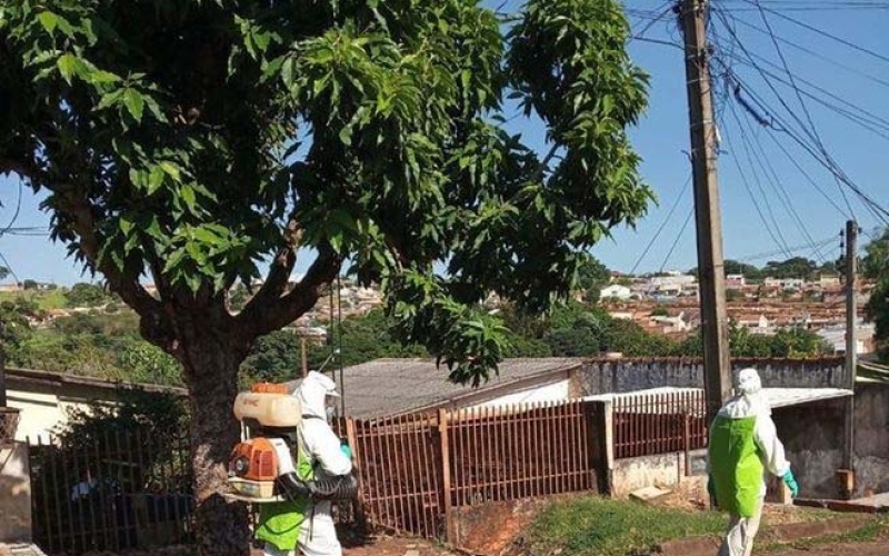 LIRAa aponta queda acentuada da infestação da dengue