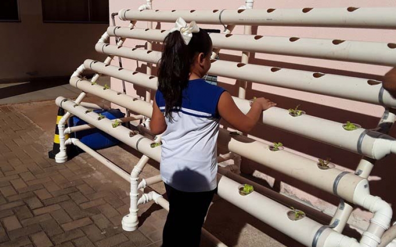 Horta hidropônica chega a mais uma escola municipal