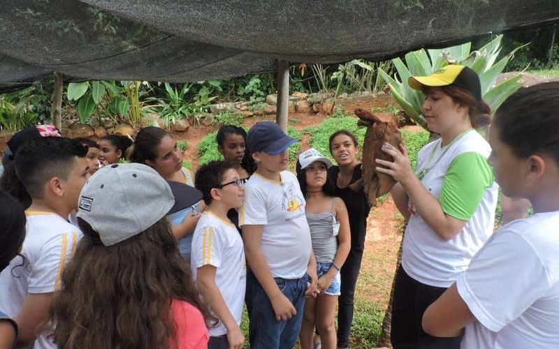 Alunos dos 5º anos da rede municipal participam de visita pedagógica