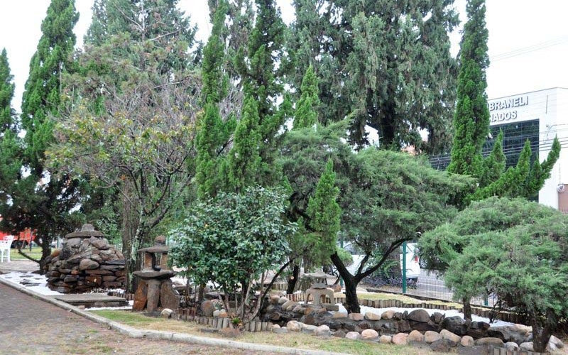 Revitalização do Jardim japonês e laguinho da Fundação Cultural