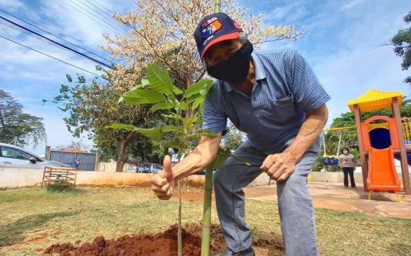 Dia da Árvore é comemorado com plantio de mudas de ipê