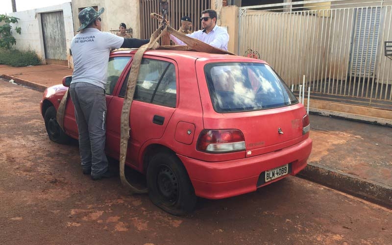 Prefeitura notifica proprietários de veículos abandonados