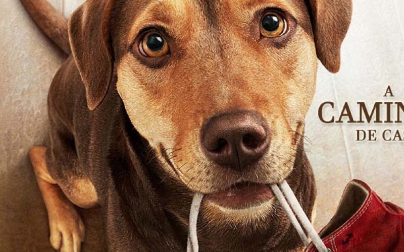 Filme novo no cinema de Ibiporã