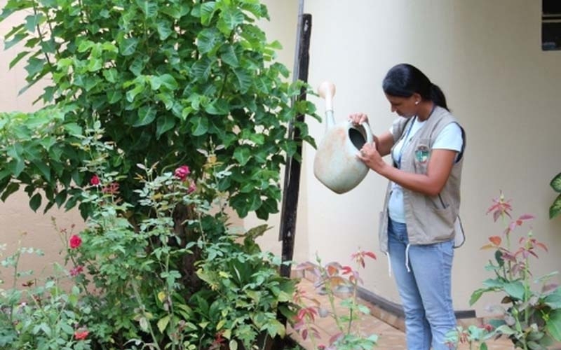 Saúde realiza primeiro LIRAa do ano em Ibiporã