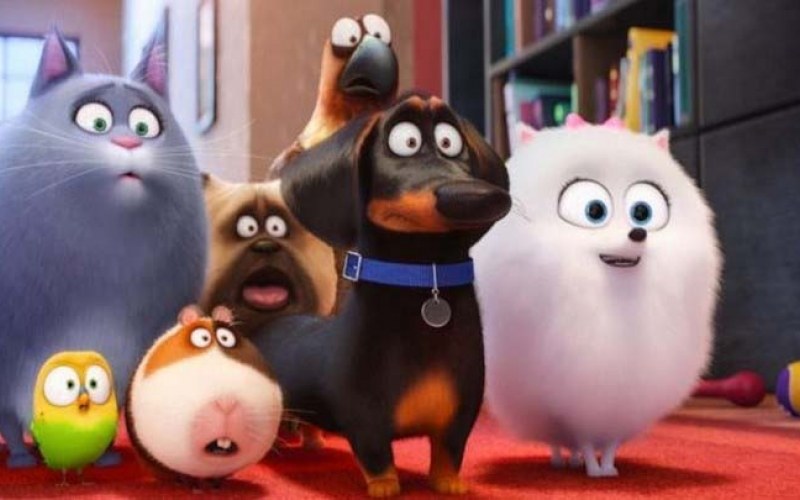 PETS 2 - A vida secreta dos bichos entra em cartaz nesta quinta (27)