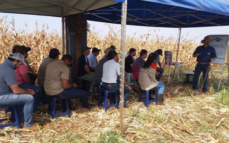 Agricultores participam de Tarde de Campo promovida pela SAAMA e Emater