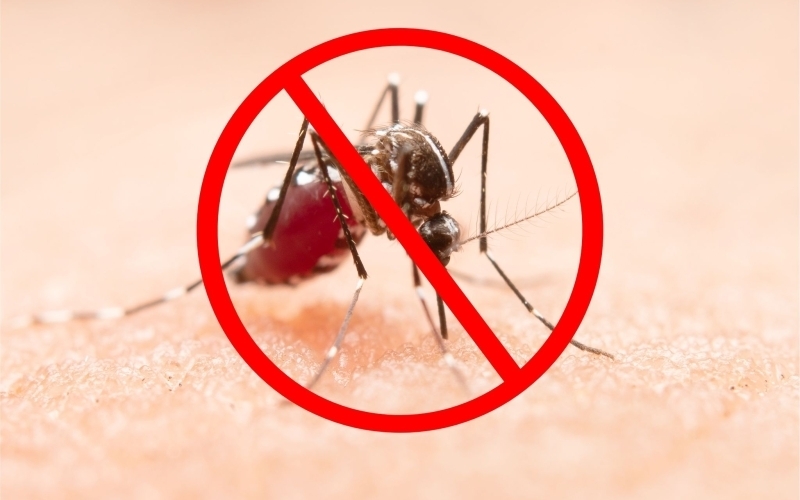 Prefeitura de Ibiporã intensifica combate à dengue com ação de recuperação em imóveis pendentes neste sábado (19)