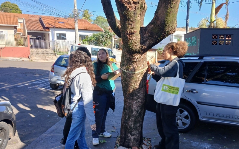 Ibiporã mais verde: estudantes da UTFPR mapeiam árvores urbanas em projeto pioneiro